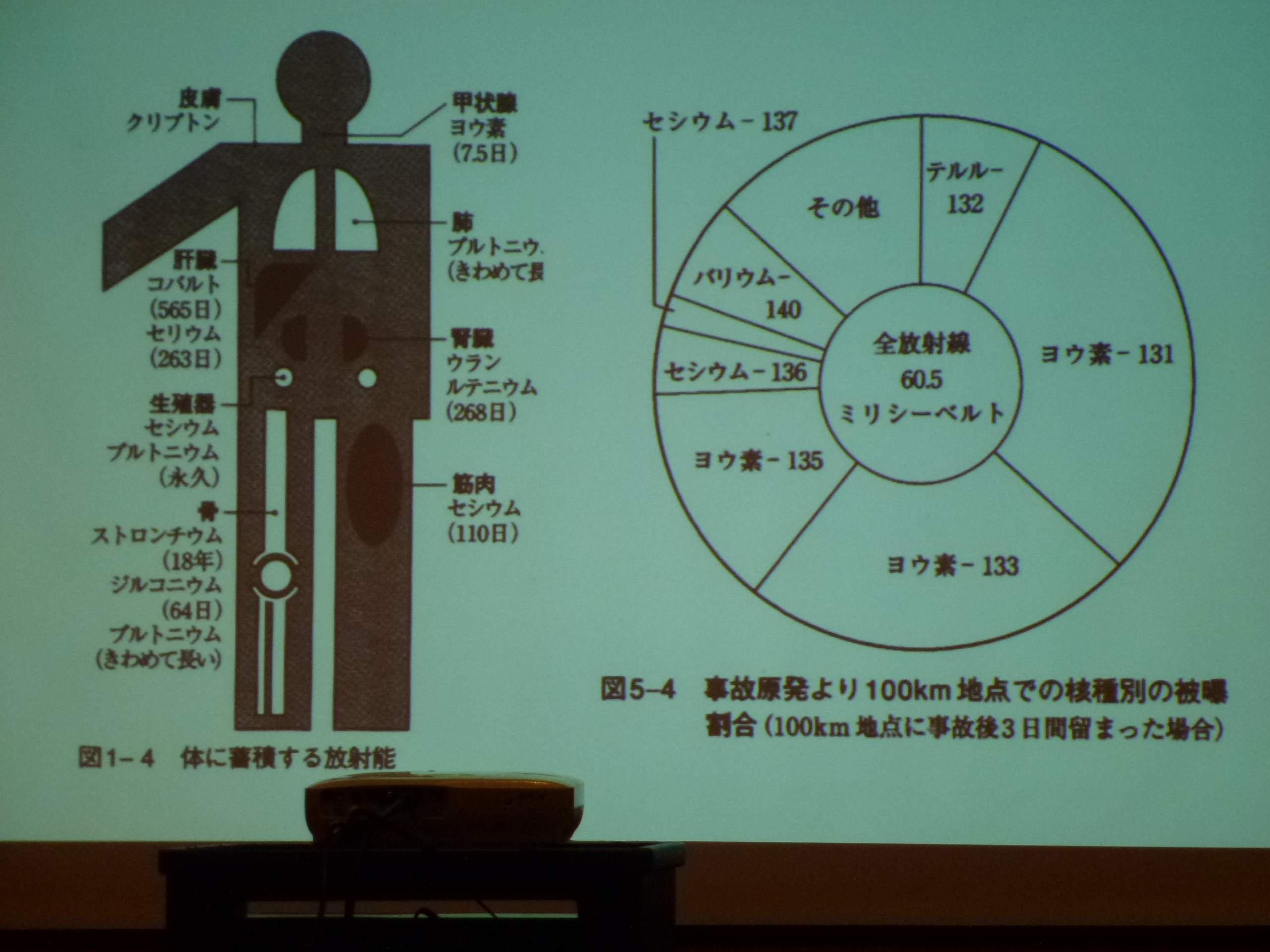 P1020721.JPG