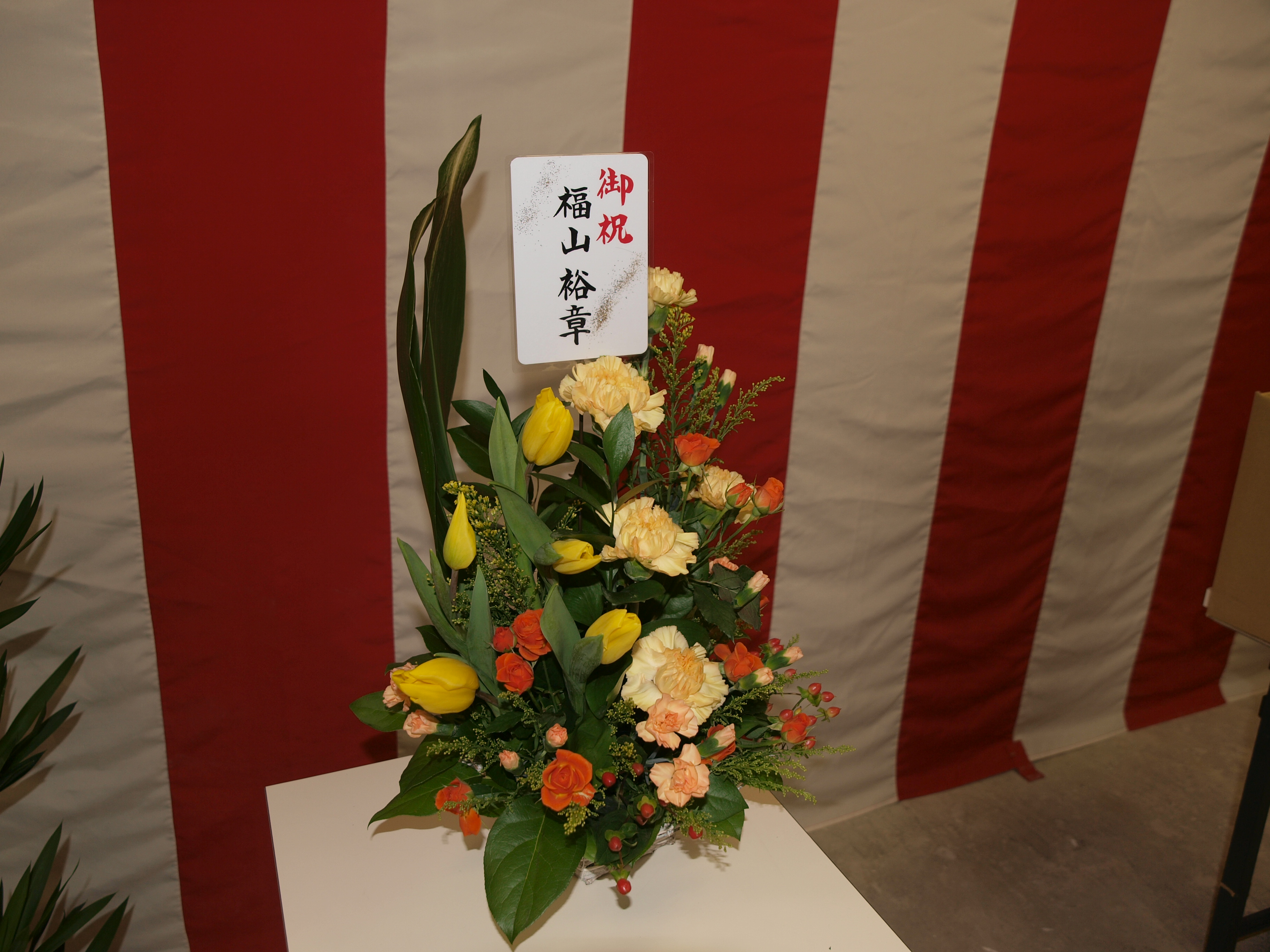 P1066331.JPG