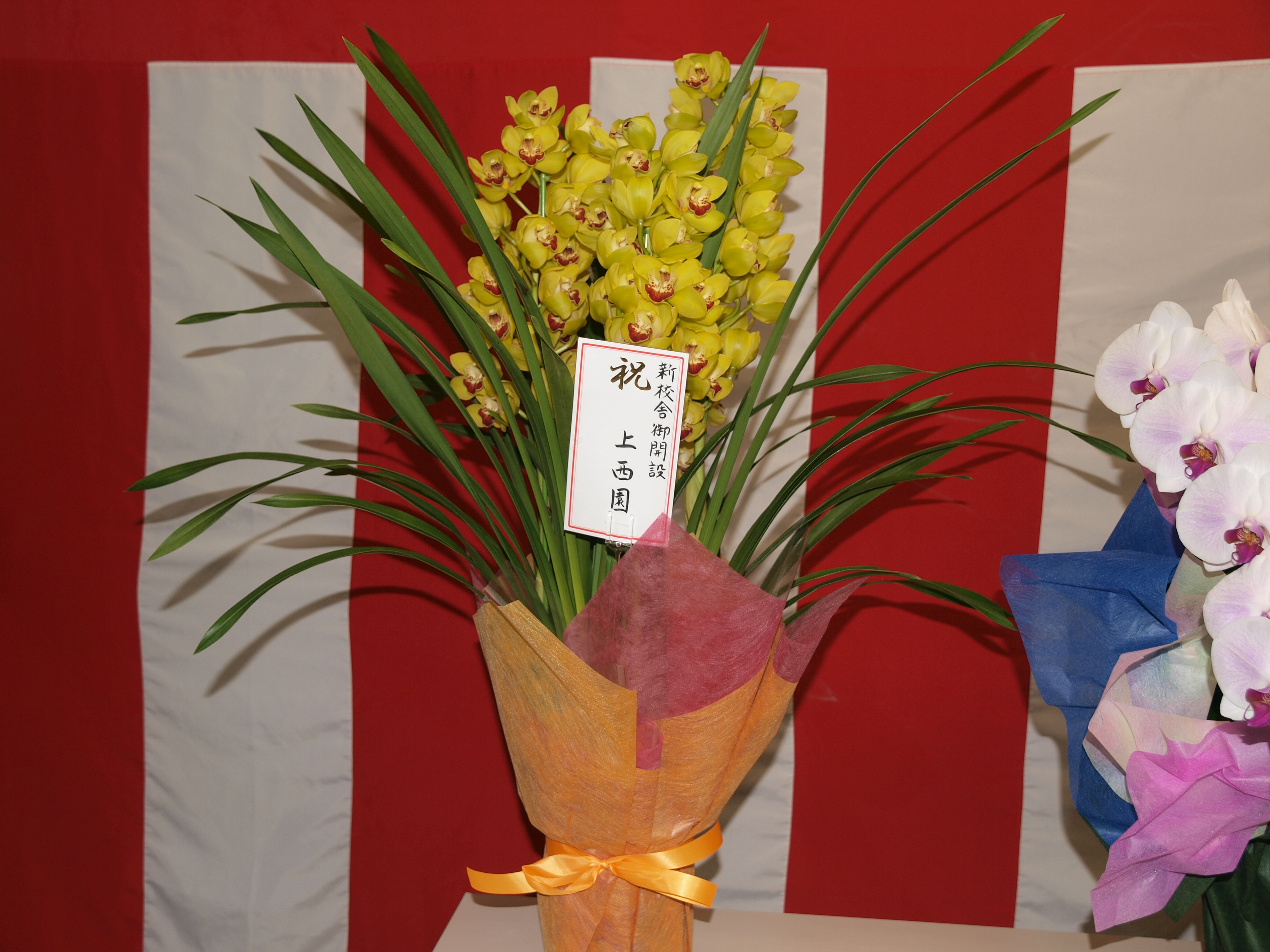 P1066334.JPG