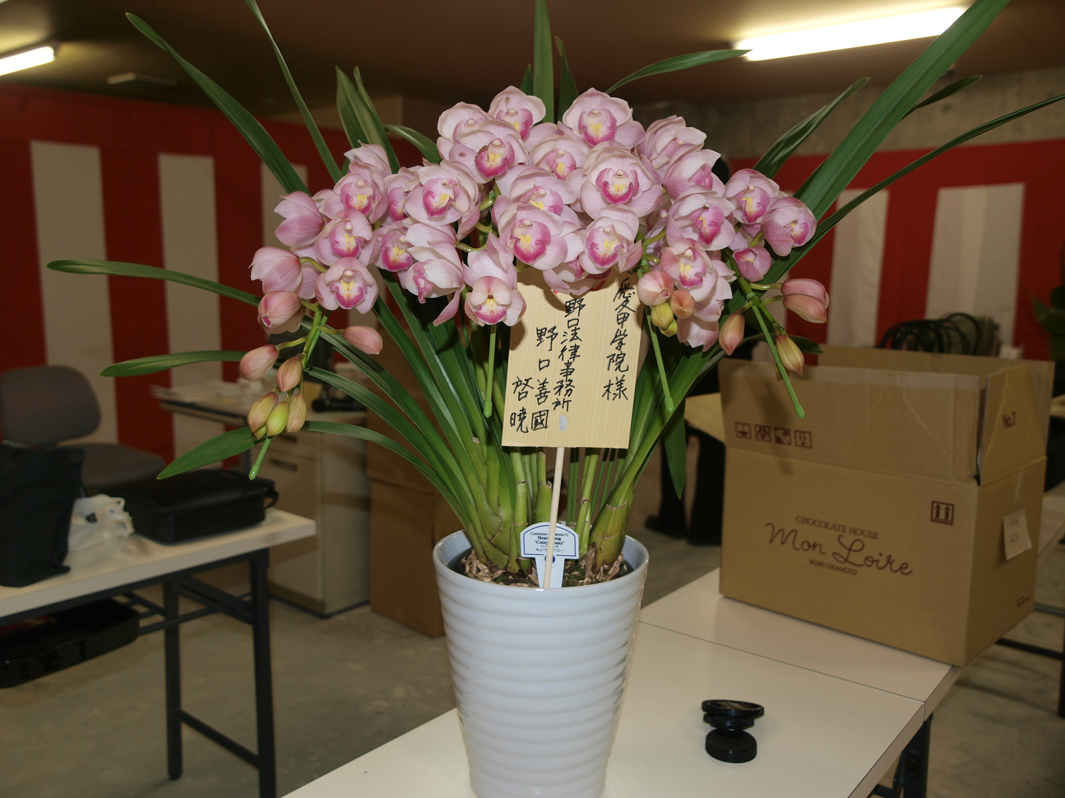 P1066335.JPG