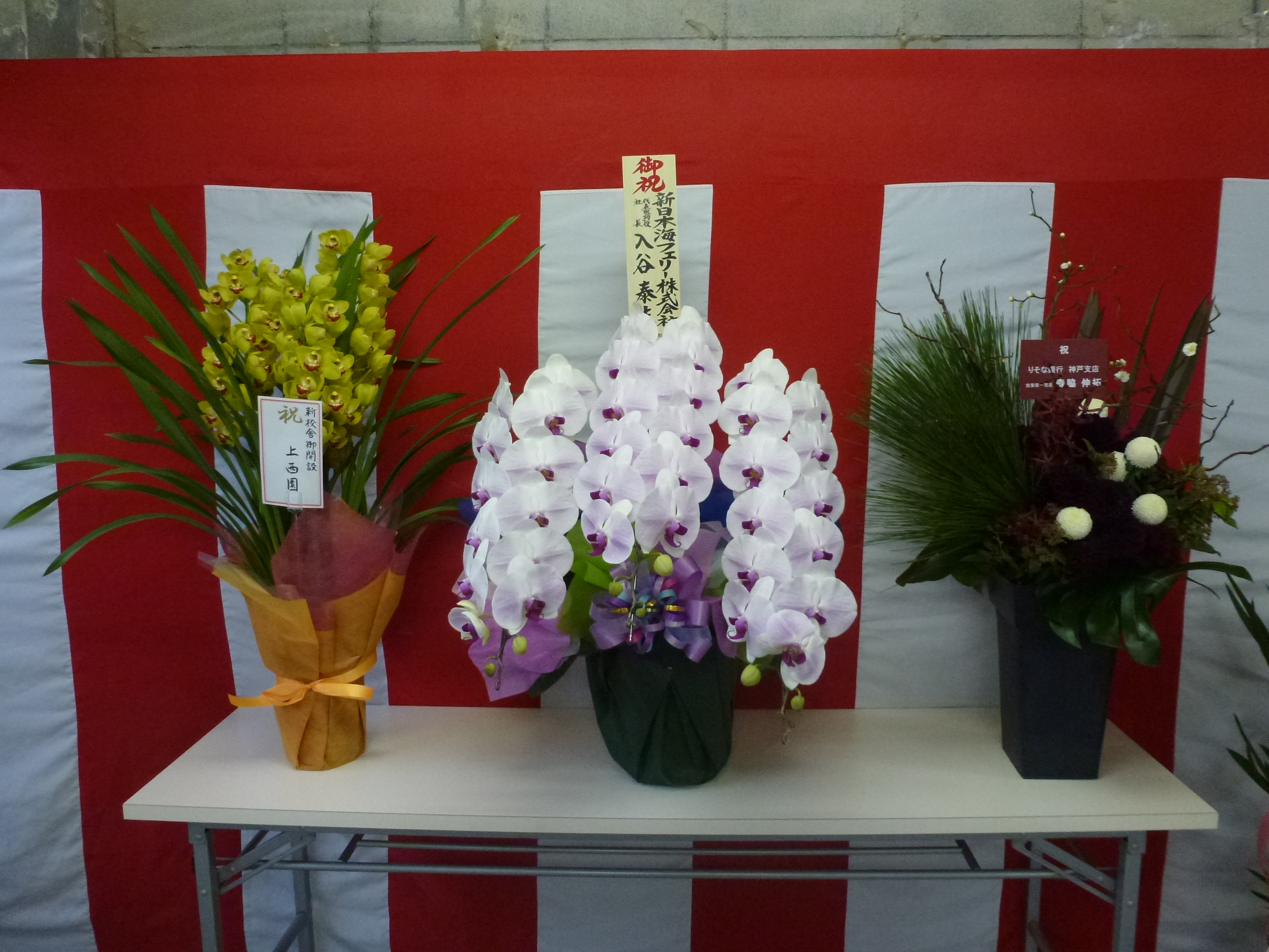 P1080943.JPG