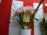 img0004.jpg