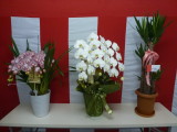 img0007.jpg