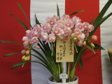 img0008.jpg