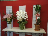 img0011.jpg
