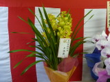 img0013.jpg