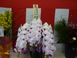 img0014.jpg