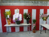 img0016.jpg
