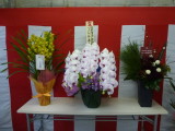 img0017.jpg
