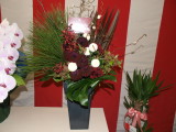 img0020.jpg