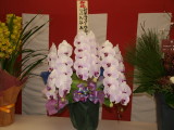 img0021.jpg