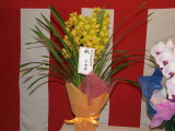 img0022.jpg