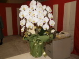img0024.jpg
