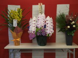 img0025.jpg